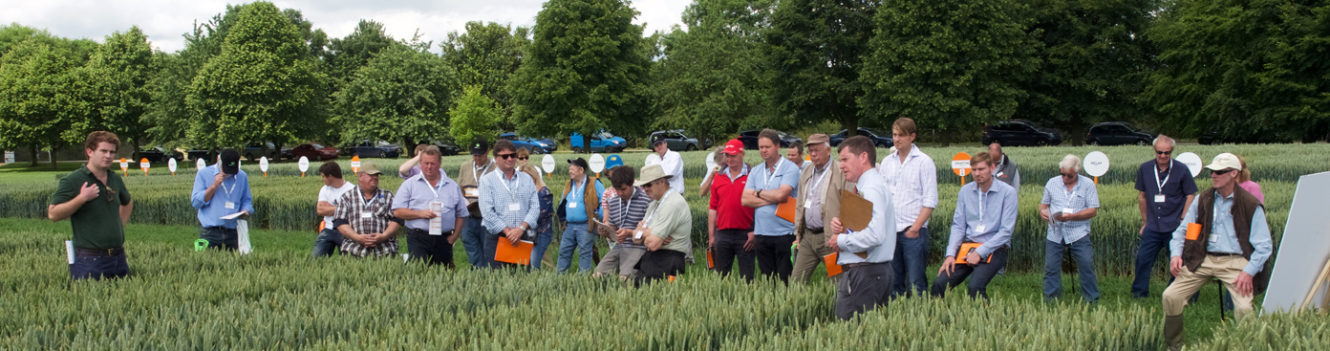 FUNGICIDES PROVE BENEFITS ACROSS VERY DIFFERENT DISEASE YEARS