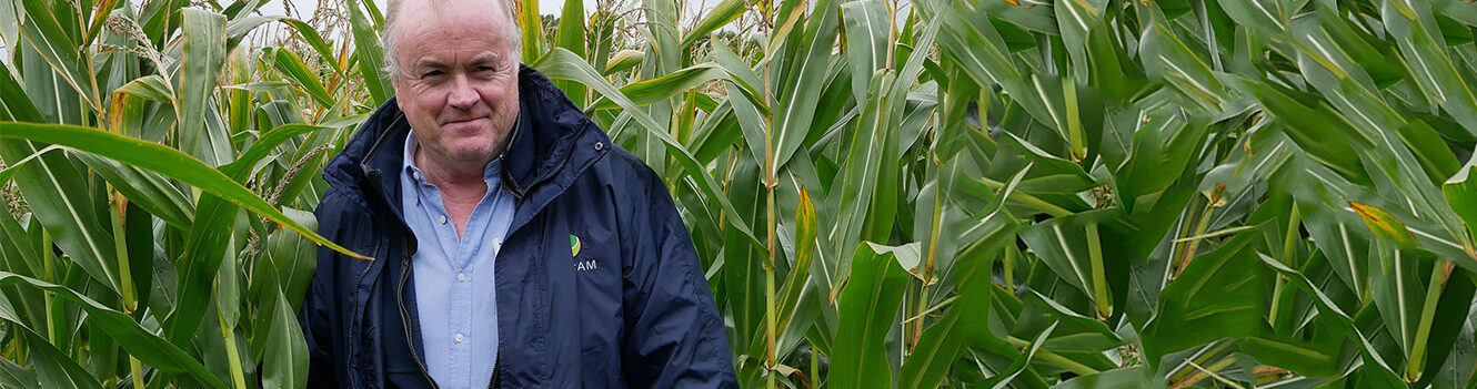 ProCam agronomist elected to BASIS committee