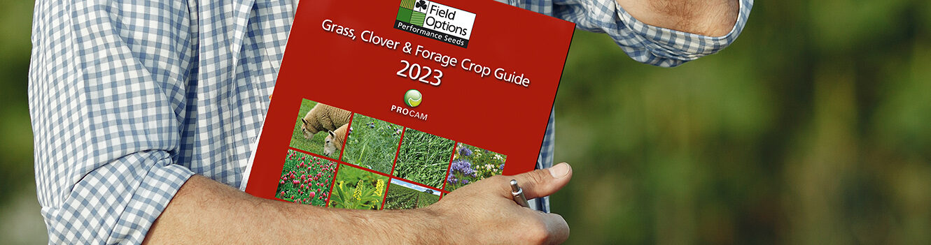 New grass guide offers useful forage planning advice and more